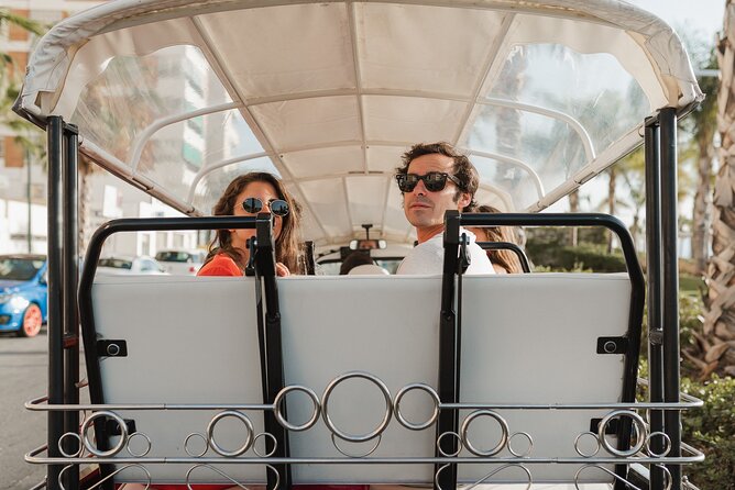Malaga Expert Tour with Local Guide in Eco Tuk Tuk Private - Public Buildings and Malaga’s Modern Civic Face