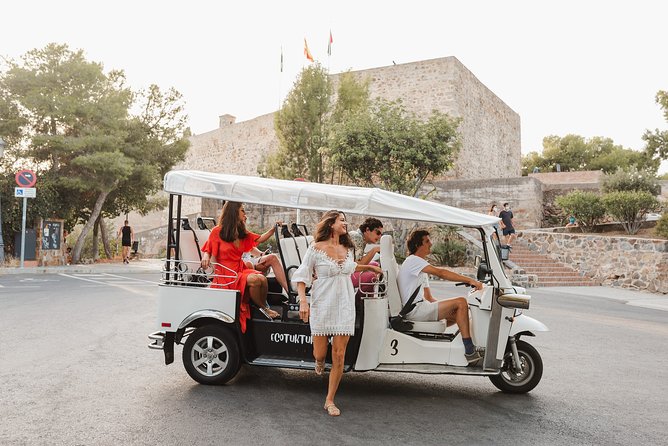 Malaga Express Tour with Local Guide in Eco Tuk Tuk Private - Starting at Plaza de la Marina and the port