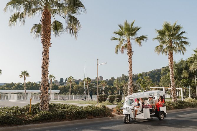 Malaga Express Tour with Local Guide in Eco Tuk Tuk Private - El Cubo, La Farola, and the waterfront