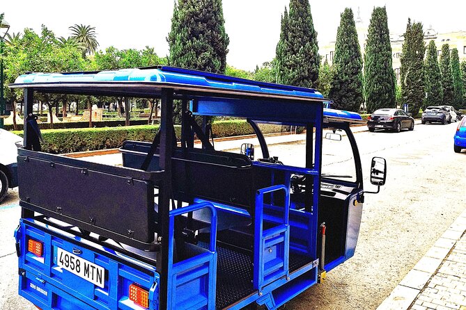Malaga: Tuk tuk tour - Pedregalejo Beach and the eastern coast