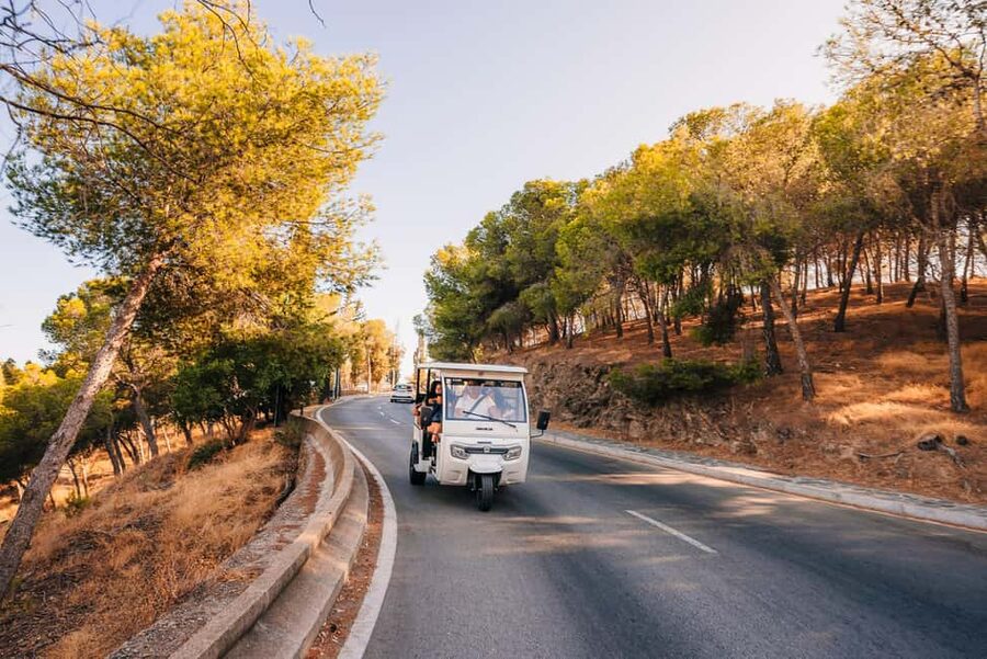 Málaga: Tuktuk Tour with Views and Espeto de Sardinas - Starting at Malagueta Beach and the Flamenco Alegría meeting point