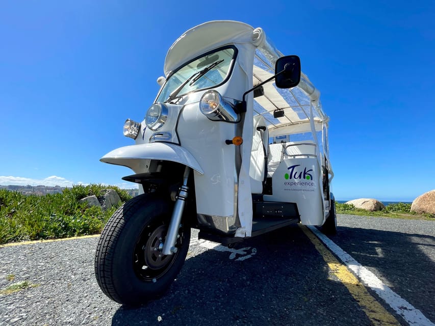 Malaga: VIP private Tuk Tuk tour - Timing, comfort, and the limits of a tuk tuk