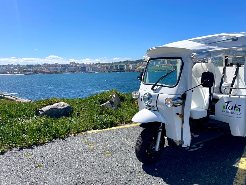 Malaga: VIP private Tuk Tuk tour - Bullring, Palace of the Ink, and the waterfront