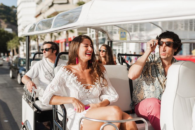 Malaga Welcome Tour with Local Guide in Eco Tuk Tuk Private - El Cubo and the Centre Pompidou