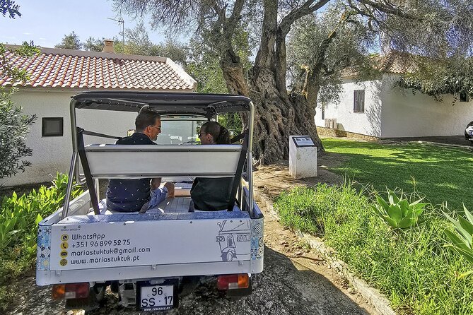 Meet Santa Luzia / Capital do Polvo / Salinas in a 100% electric Tuk Tuk - Starting in Praça da República