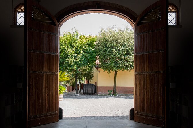 Naples Tuk Tuk Experience Views and Vineyards - Why this Naples tour works so well