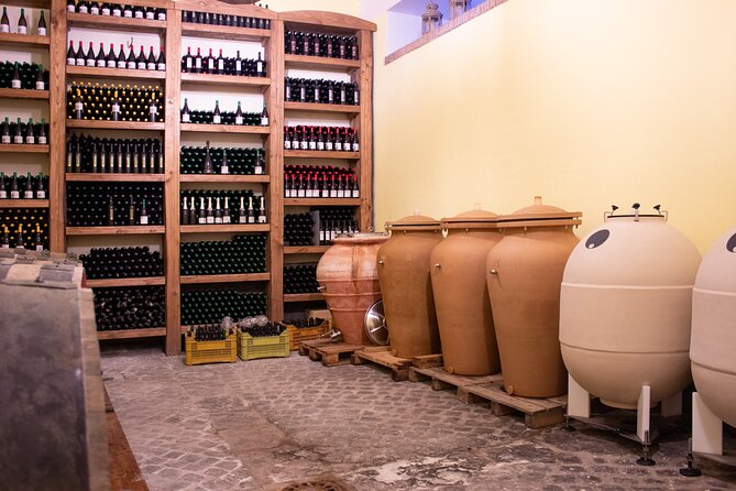 Naples Tuk Tuk Experience Views and Vineyards - Cantine Astroni: three hours among vineyards and wine