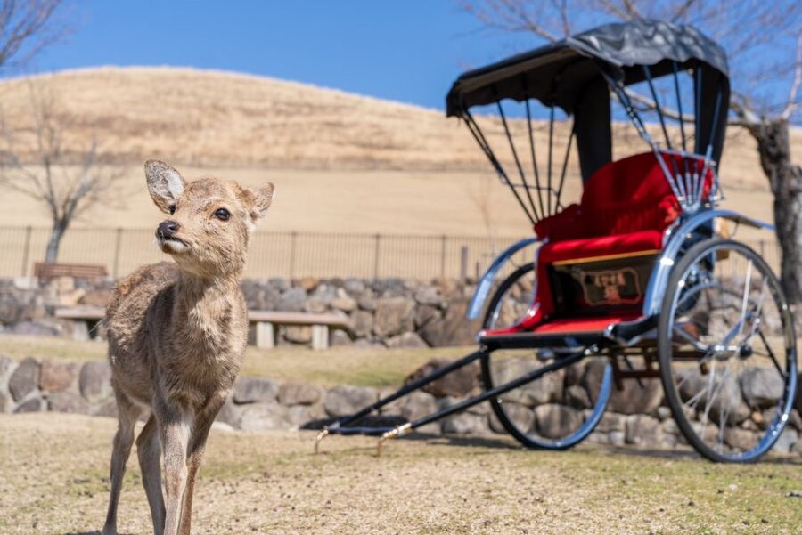 Nara: Cultural Heritage Tour by Rickshaw - Why a rickshaw works well in Nara