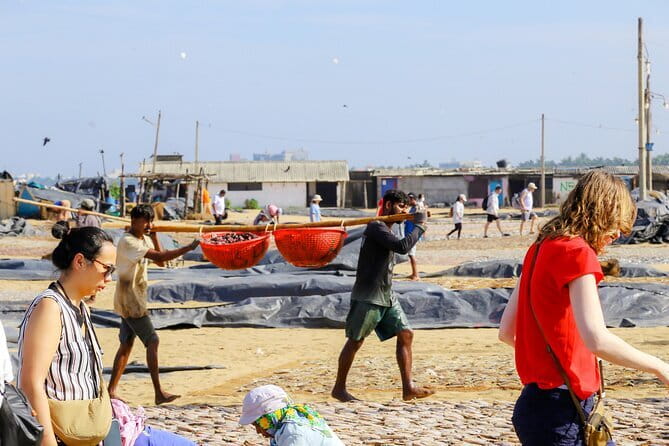 Negombo City Tour by Tuk Tuk - The dry fish beach and Negombo’s working shore