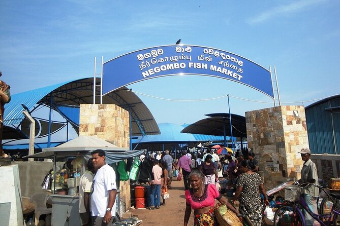 Negombo City Tour by TUK TUK with Rome - Lunch with local food, plus a practical question