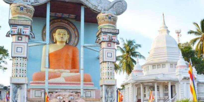 Negombo: Fishing Village Highlights Private Tour by Tuk Tuk - The tuk-tuk ride and the king coconut break