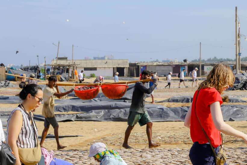 Negombo: Private Half-Day Tuk-Tuk Tour with Hotel Transfers - Browns Beach and the final walk