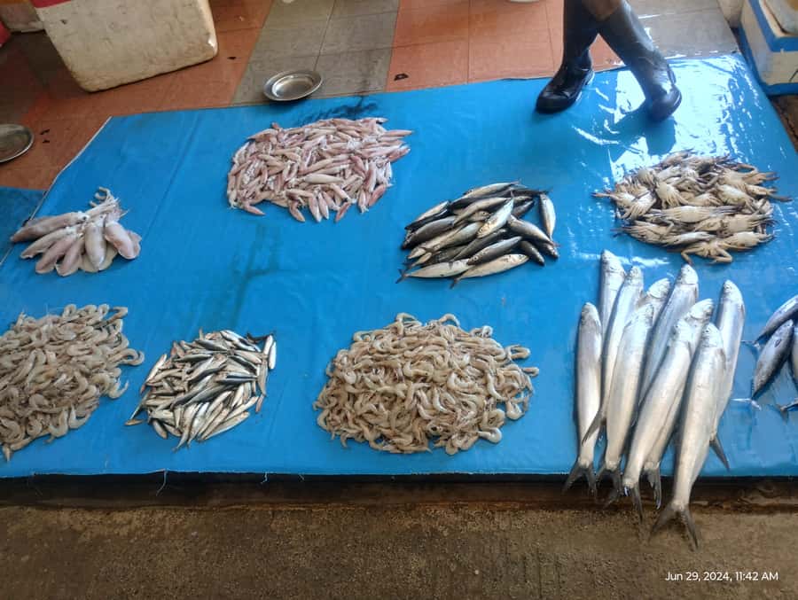 Nilaveli: Trinco City tour by Tuk Tuk - Fish market and Trincomalee’s everyday side