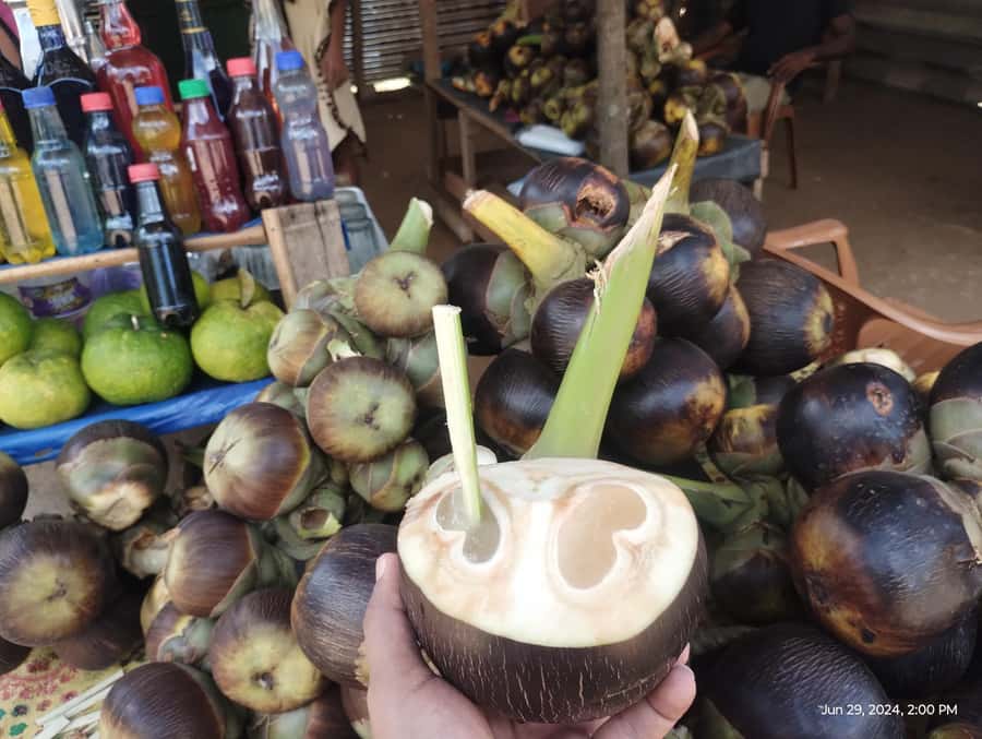 Nilaveli: Trinco City tour by Tuk Tuk - The guides can make or break the day