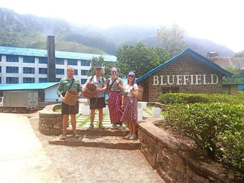 Nuwara Eliya: Tea Factory and Pickle Waterfalls Tuk Tuk Tour - Timing, clothes, and physical effort