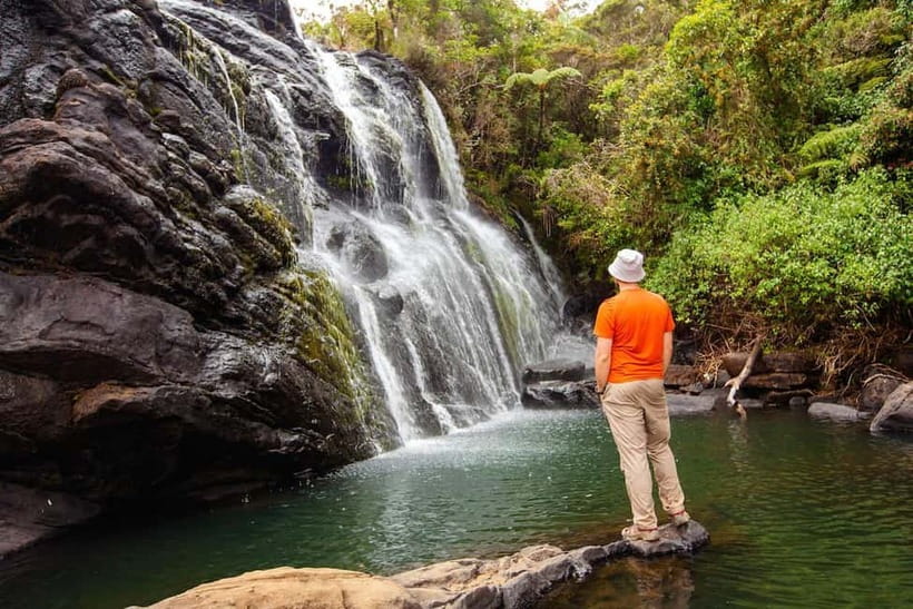 Nuwara Eliya to Horton Plains, Strawberry& Ambewela Farm TUK - Horton Plains: grassland, cloud forest, and cool air