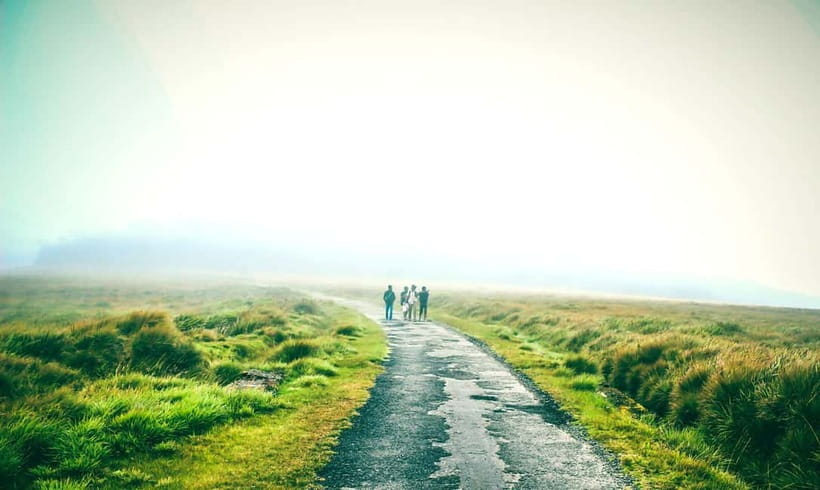 Nuwara Eliya to Horton Plains, Strawberry& Ambewela Farm TUK - World’s End and Baker’s Falls