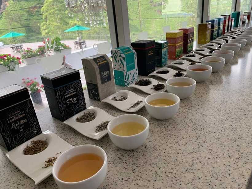 Nuwara Eliya Tuk-Tuk Tour Tea Picking,Tasting &Ramboda Falls - Bluefield and Kingswood: tea picking with a practical lesson