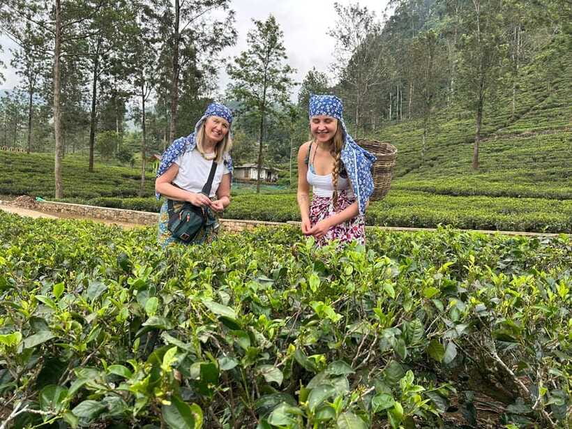 Nuwara Eliya Tuk-Tuk Tour Tea Picking,Tasting &Ramboda Falls - Who should book this Nuwara Eliya tour?