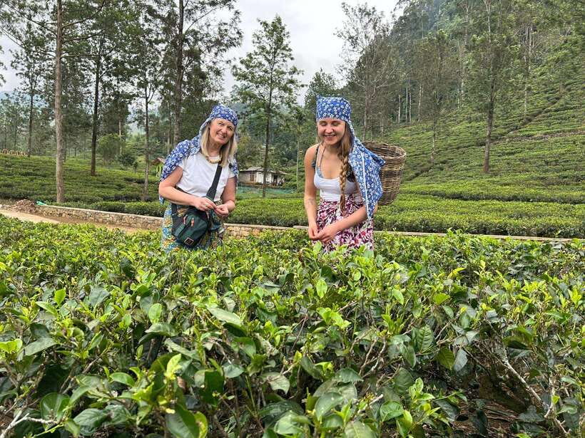 Nuwara Eliya Tuk-Tuk Tour Tea Picking,Tasting &Ramboda Falls - The Royal Post Office and Nuwara Eliya’s town center