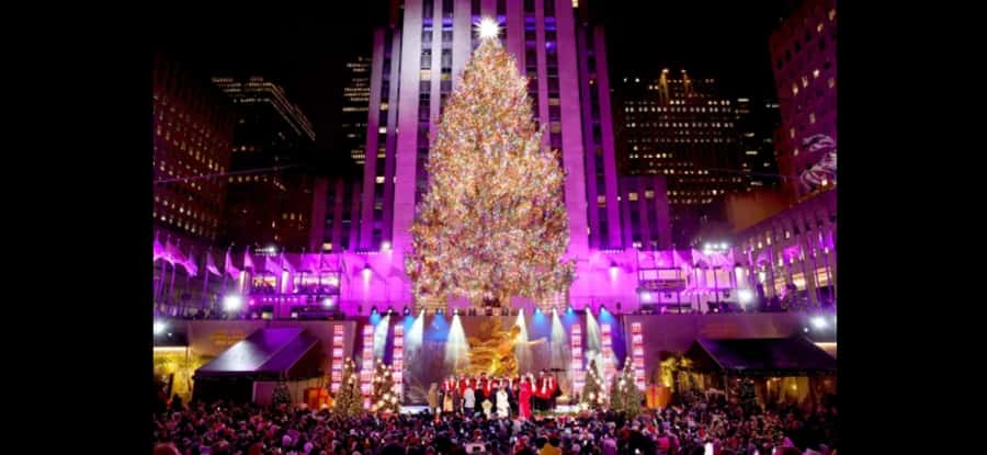 NYC Christmas Lights Tour: Heated Rickshaw Ride - Why a heated rickshaw makes sense in December