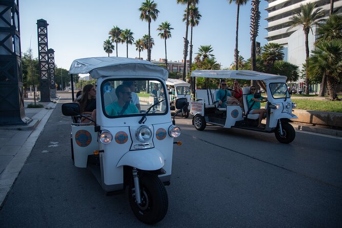 Official Tuk Tuk BCN l Barcelona 3 Hours City Tour - Montjuïc in 10 minutes of fresh air