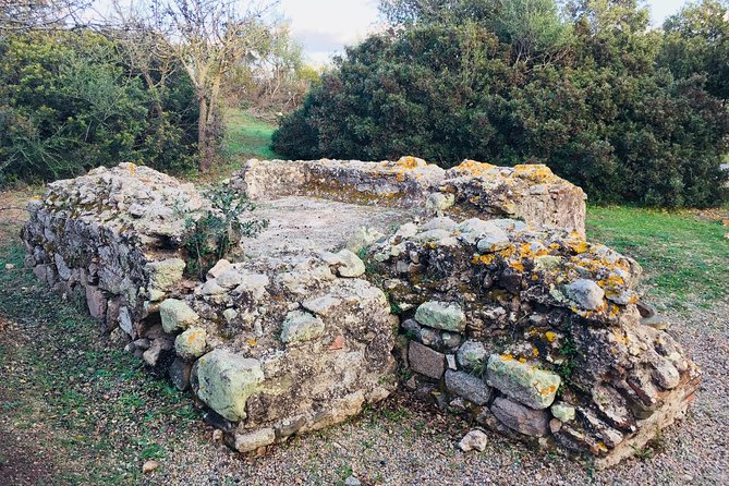 Olbia : Tuk-Tuk Tour – Ancient Treasures of Sardinia + pickup - The Giants’ Tomb at Su Monte ’e S’Abe