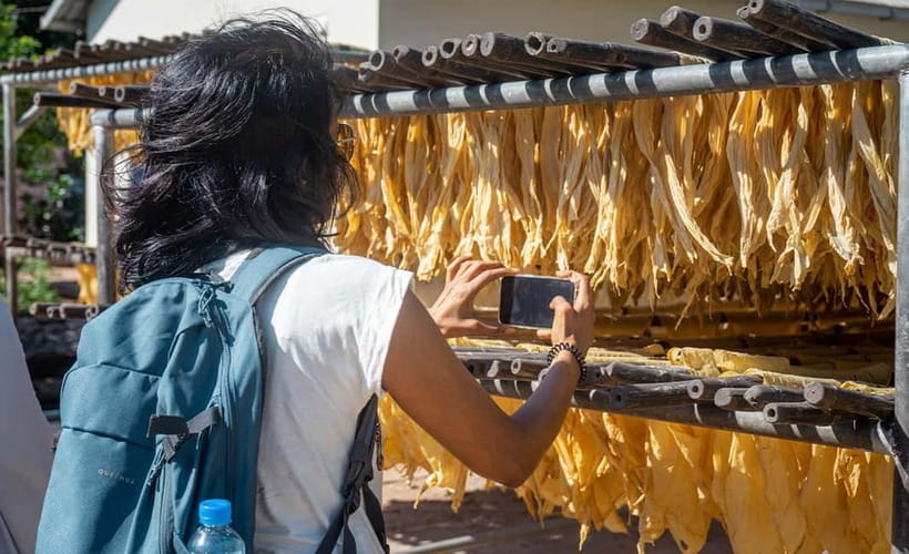 Phnom Penh Haft Day Tour to Silk Island by Tuk Tuk - How the guides shape the morning