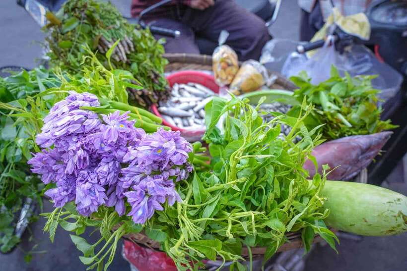 Phnom Penh: Morning Market & Guided Breakfast Tour by Tuktuk - Walking through a local wet market