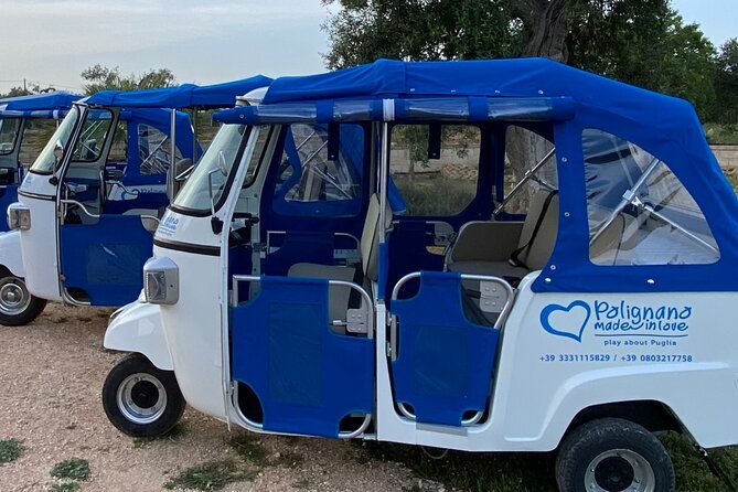 Polignano a Mare: Vintage Private Tour in TukTuk - Why a tuk-tuk works well in Polignano a Mare