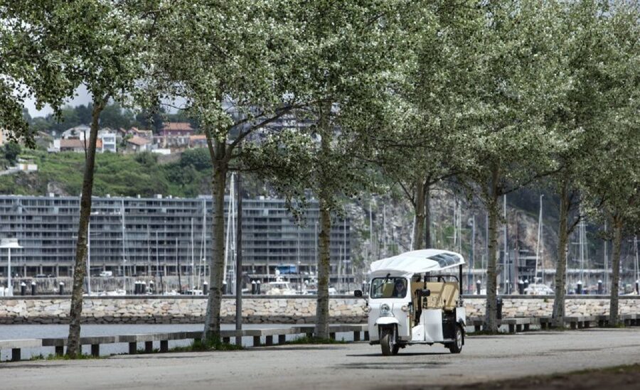 Porto: Private Sightseeing Tour by Electric Tuk Tuk - The bridge, Gaia, and river views