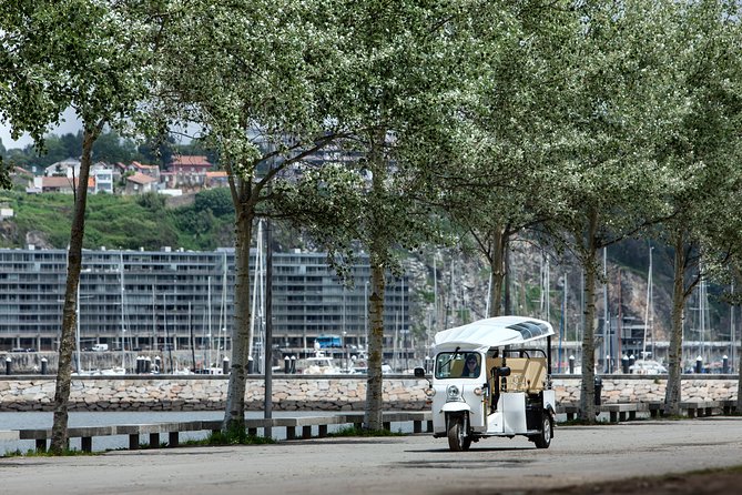 Porto Tuk Tuk: Clérigos, Seaside & Viewpoints - with Options - Palácio de Cristal gardens and Douro views