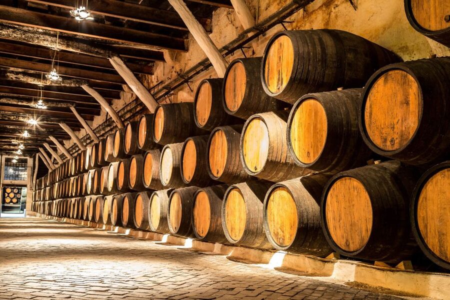 Porto: Tuk-Tuk Tour, Douro River Cruise, and Wine Tasting - Should you book this Porto experience?