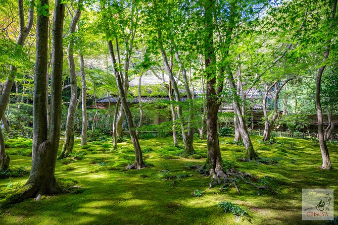 Private 3-hour Kyoto Arashiyama Rickshaw Tour - Price, Comfort, and Family Rules
