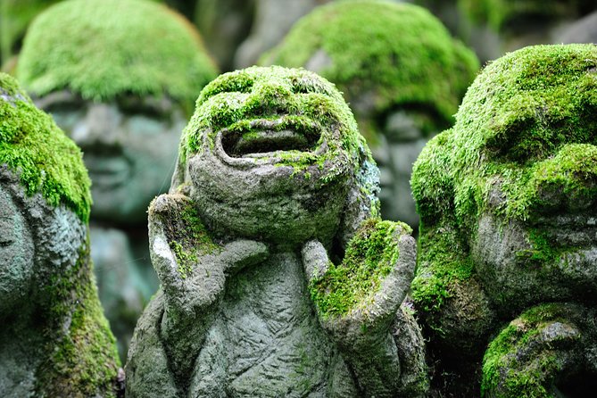 Private 3-hour Kyoto Arashiyama Rickshaw Tour - Gio-ji and Jojakko-ji: Moss and a Hilltop View