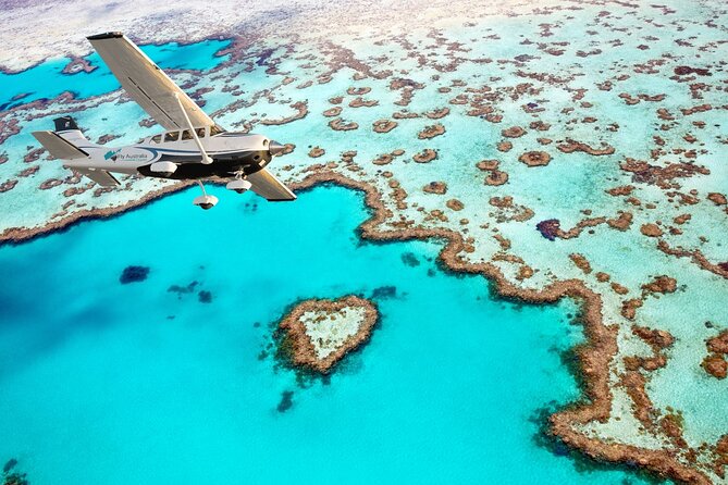 Private Airlie Beach Tuk-Tuk Tours - Coral Sea Marina and the wider town