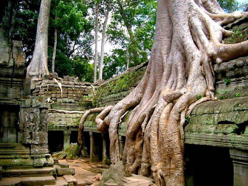 Private Angkor Sunrise, Guide Breakfast and Tuktuk included - Bayon and the heart of Angkor Thom