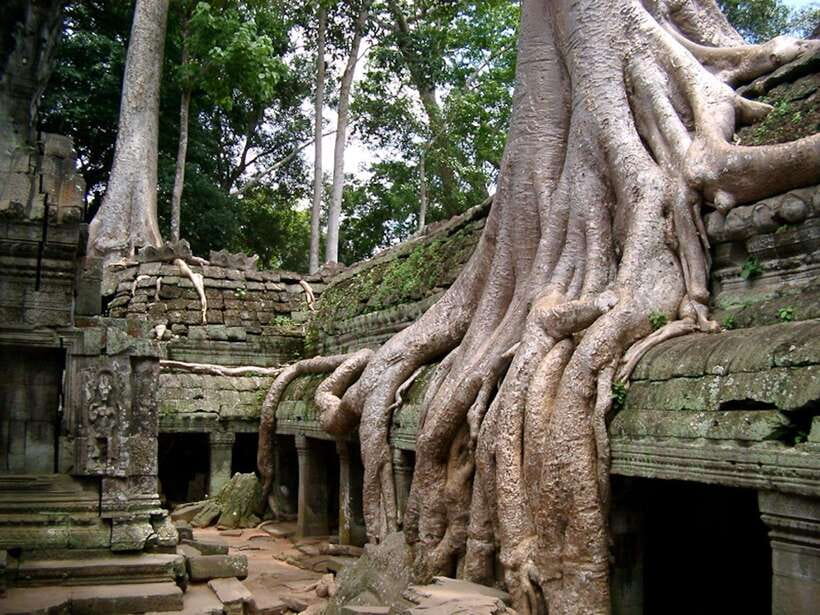 Private Angkor Sunrise, Guide Breakfast and Tuktuk included - Who should book this experience