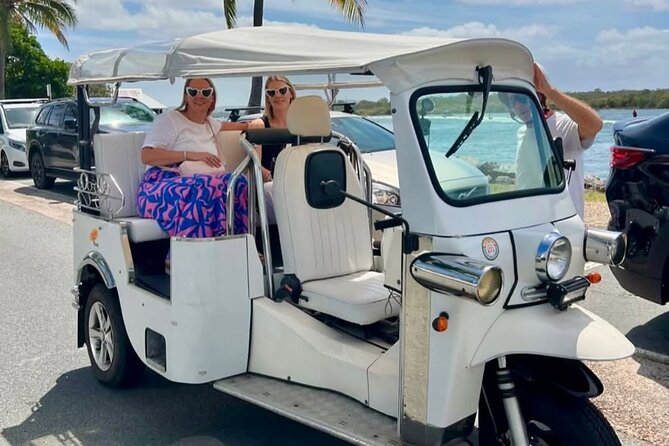 Private E-Tuk Tuk Adventure through Brisbane - Crossing Goodwill Bridge to the City Botanic Gardens