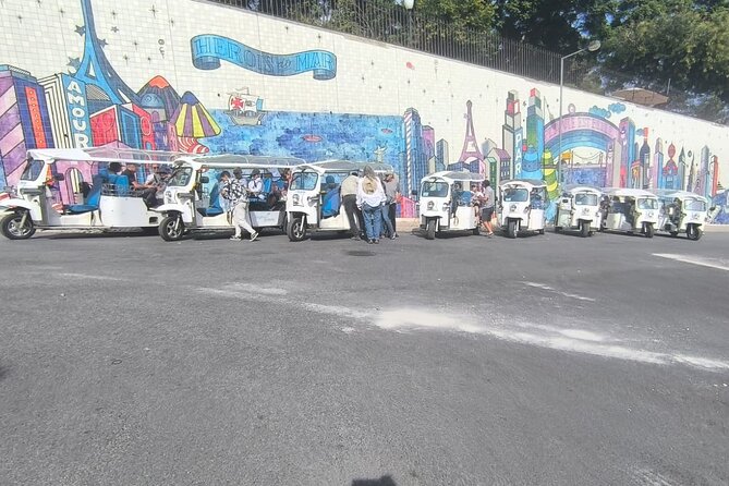 Private Electric Tuk Tuk Adventure in Lisbon - The National Pantheon and its white dome