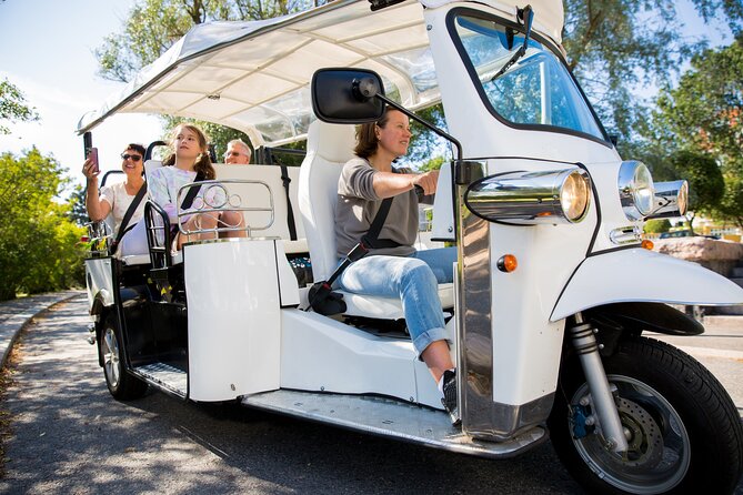 Private Electric Tuk Tuk Tour in Rome - Quirinale Palace and the Trevi Fountain