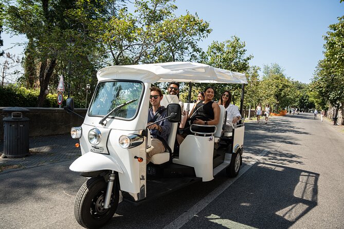Private Electric Tuktuk Tour of Rome with Prosecco and Pickup - Janiculum Hill and prosecco at Fontana dell’Acqua Paola