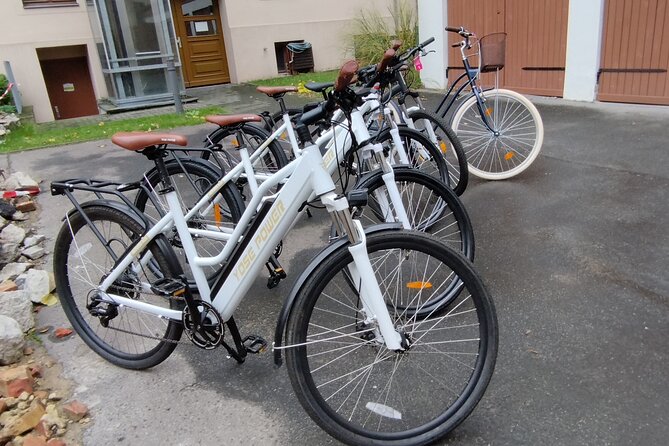 Private Guide Up to Group 6 - ONE Rickshaw, (E)Bikes, E-Scooters - Bebelplatz and the cost of censorship
