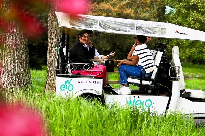 Private Guided Geneva 1 Hour TukTuk City Tour - Lake Geneva: a broad opening view