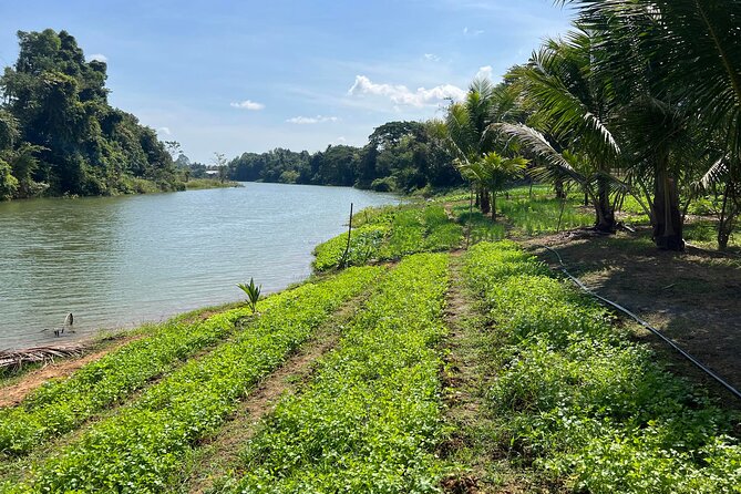 Private Half-Day Tuk Tuk Tour in Battambang - Why this Battambang afternoon works well