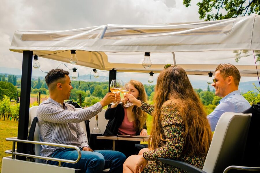 Private Highlights Top Places Tour Electric TukTuk 1h15 - Key things to know before you book