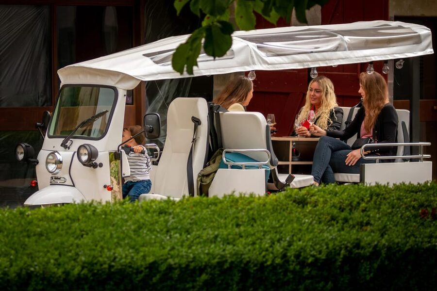 Private Highlights Top Places Tour Electric TukTuk 1h15 - Why an electric tuk-tuk works well in Geneva