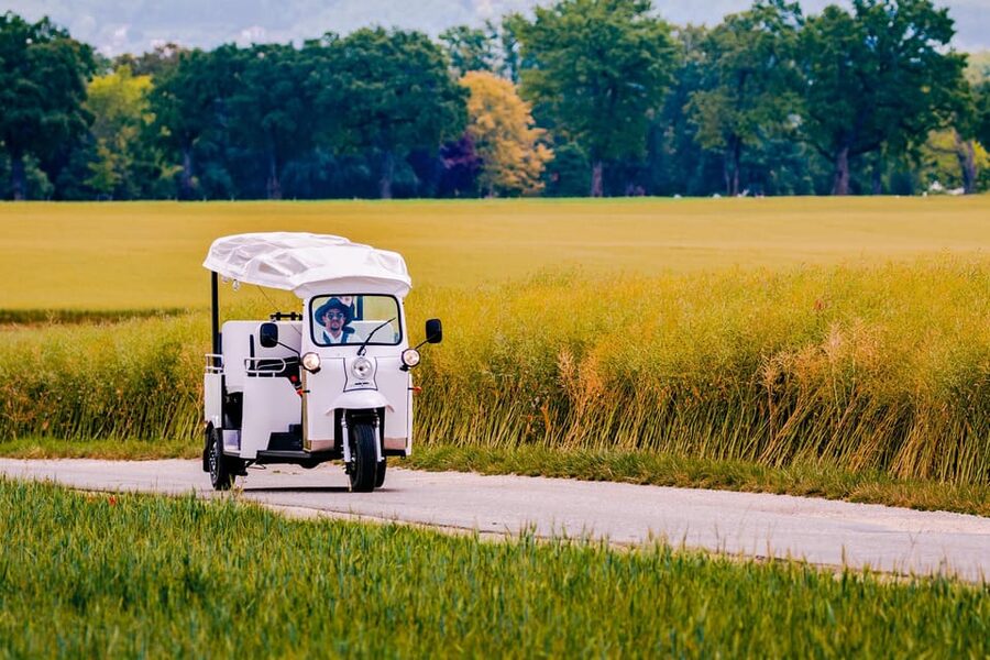 Private Highlights Top Places Tour Electric TukTuk 1h15 - Saint-Pierre Cathedral and the Old Town