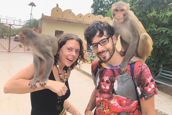 Private Jaipur Tuk-Tuk Tour with Monkey Temple - The Monkey Temple and its hilltop setting