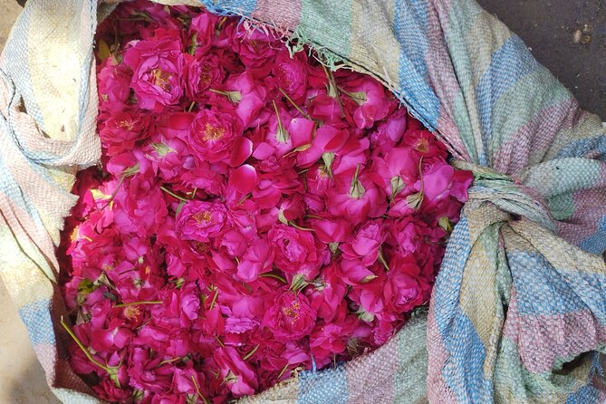 Private Rickshaw Tour of Old Delhi Heritage with Food Tasting - Starting at Chandni Chowk and the wedding market